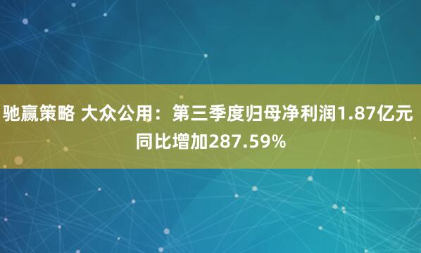 驰赢策略 大众公用：第三季度归母净利润1.87亿元 同比增加287.59%