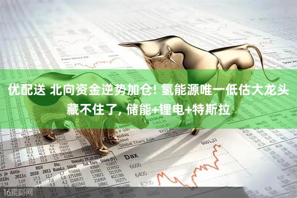 优配送 北向资金逆势加仓! 氢能源唯一低估大龙头藏不住了, 储能+锂电+特斯拉