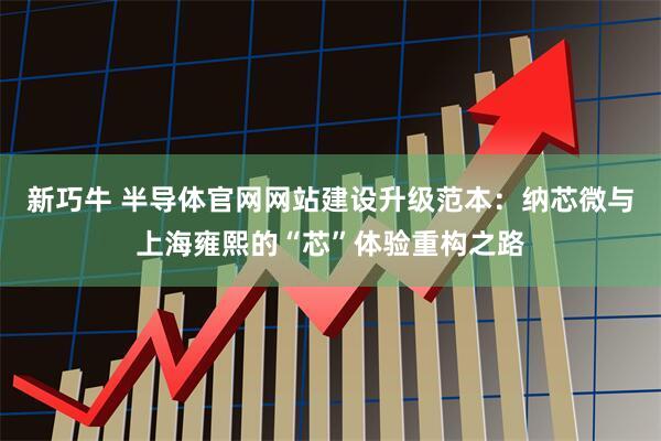 新巧牛 半导体官网网站建设升级范本：纳芯微与上海雍熙的“芯”体验重构之路